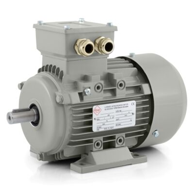 Moteur électrique 0,09kW 1AL (400V-3000 tr/min) En stock