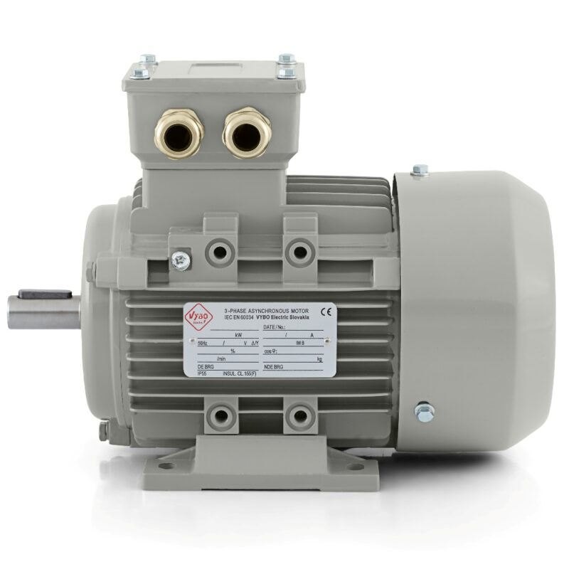 Moteur électrique 0,12kW 1AL (400V-3000 tr/min) En stock