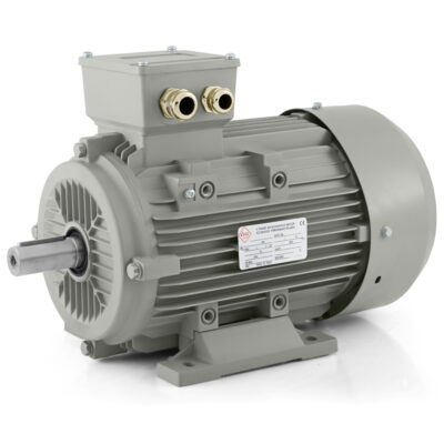 Moteur électrique 0,75kW 1AL (400V-700 tr/min) En stock