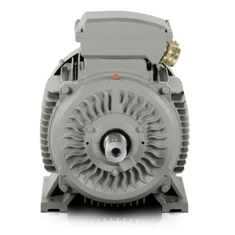 Moteur électrique 110kW 3LC (IE3-400V/690V-1500 tr/min) France Bon prix