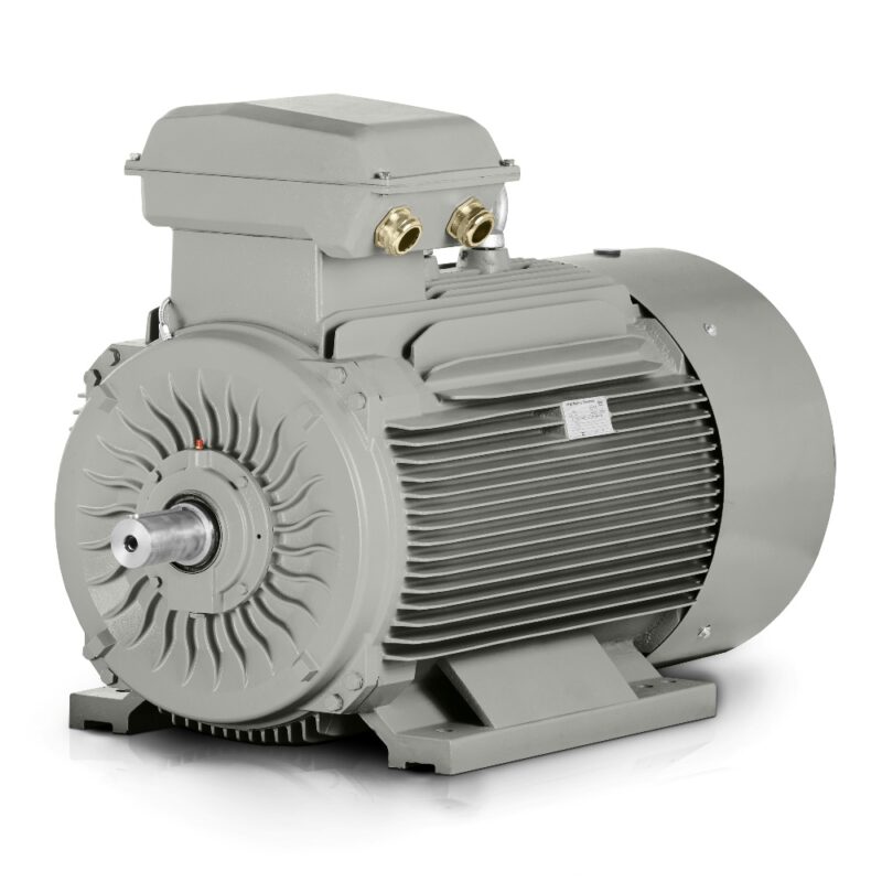 Moteur électrique 110kW 3LC (IE3-400V/690V-1500 tr/min) France Bon prix