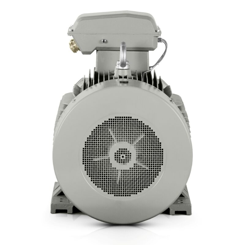 Moteur électrique 110kW 3LC (IE3-400V/690V-1500 tr/min) France Bon prix