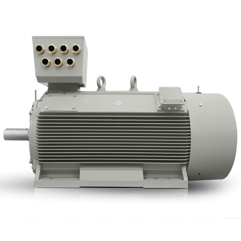 Moteur électrique basse tension 315kW H17RL (IE3-400V/690V-1000 tr/min) Vente