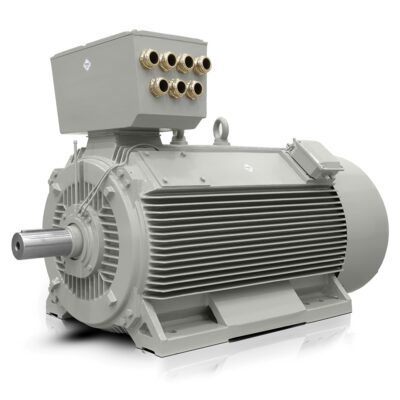 Moteur électrique basse tension 315kW H17RL (IE3-400V/690V-800 tr/min) Vente